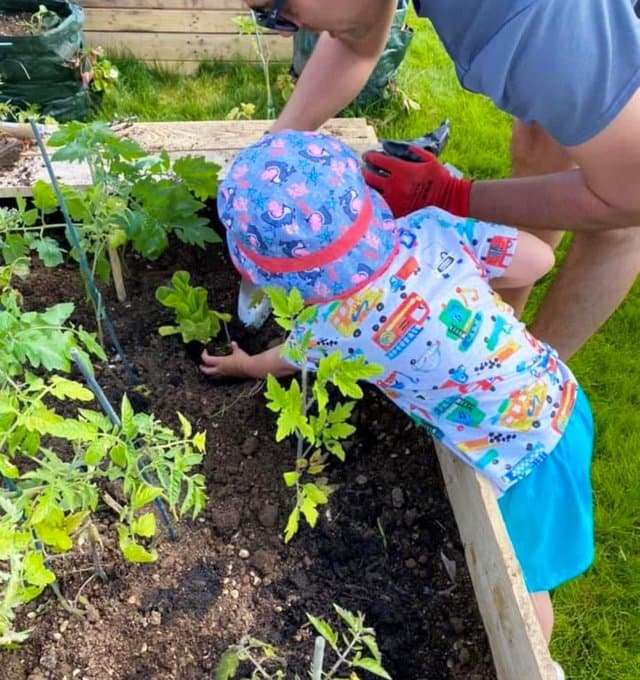 Community Garden 3.jpg